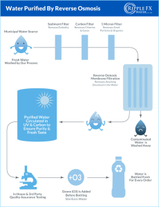 Purified Water Process