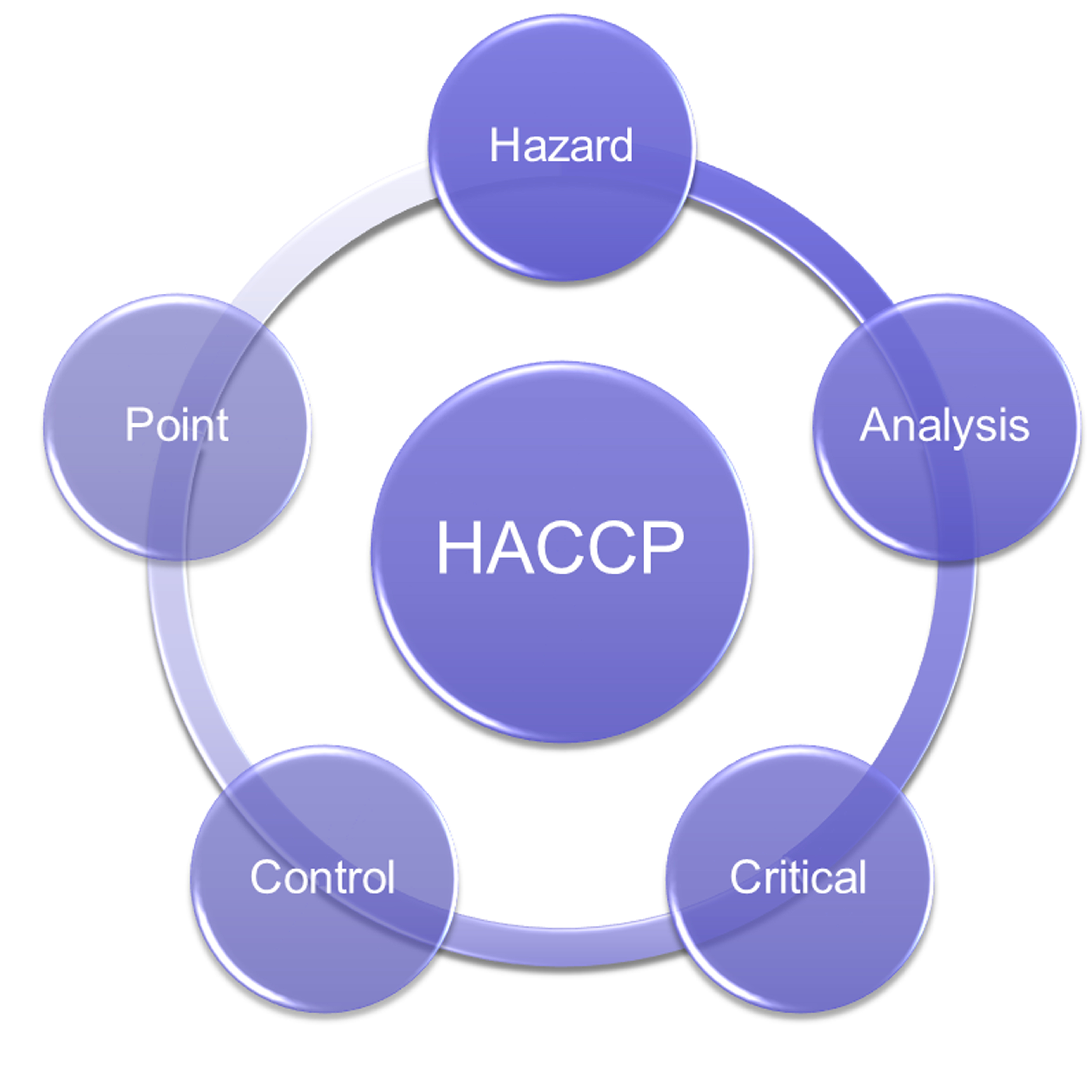 Hazard analysis and critical. Hazard Analysis and critical Control points в ДОУ. Цепочка HACCP. Пластырь ХАССП. HACCP вода.