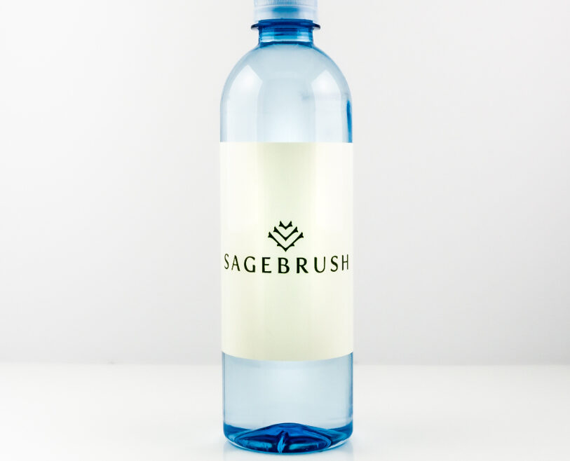RPET 500ml Smooth Shape Bottle with Clear Cap set2 a