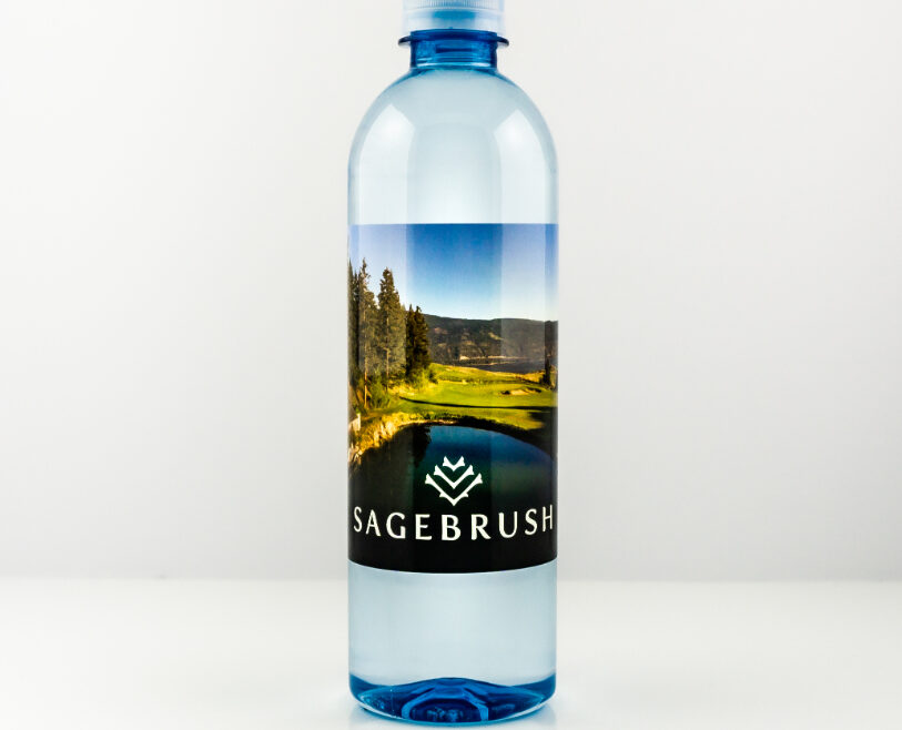 RPET 500ml Smooth Shape Bottle with Clear Cap set2 d